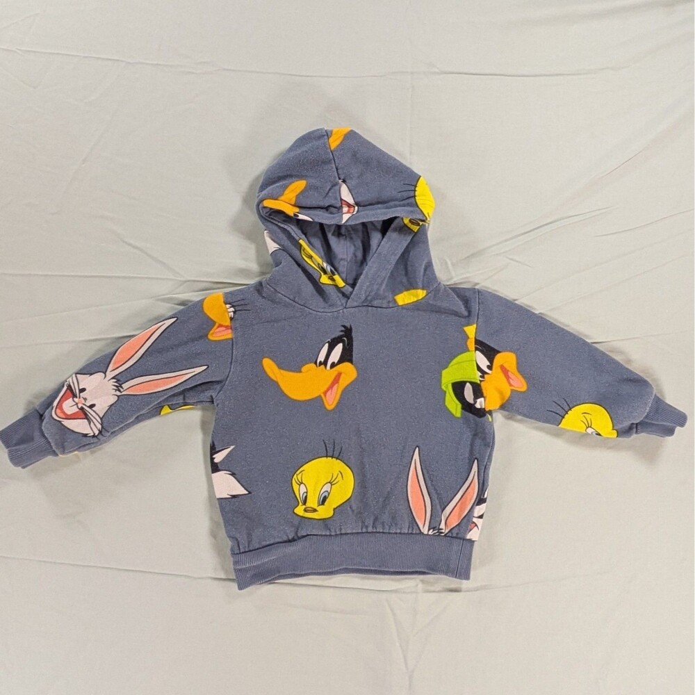 H&M Gray Looney Toons Toddler Hoodie Sweatshirt Size 2T